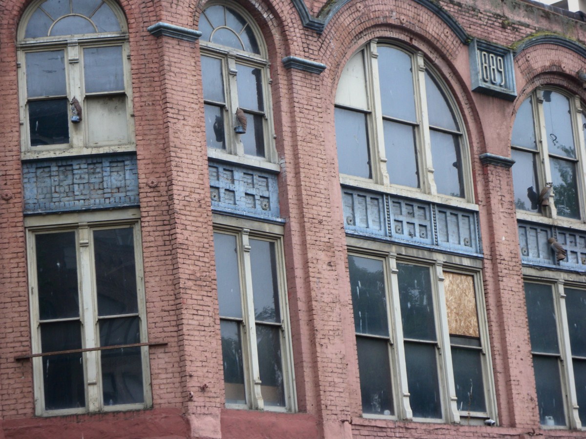 The Urchin in the&nbsp;Alley