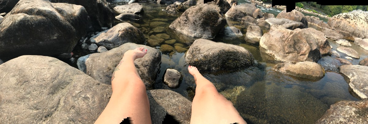 Oh, when the creatures&nbsp;come