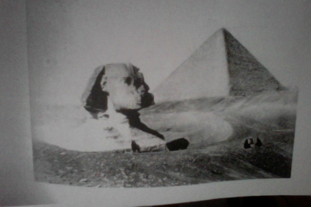 Photo on 1-10-20 at 3.30 PM #2