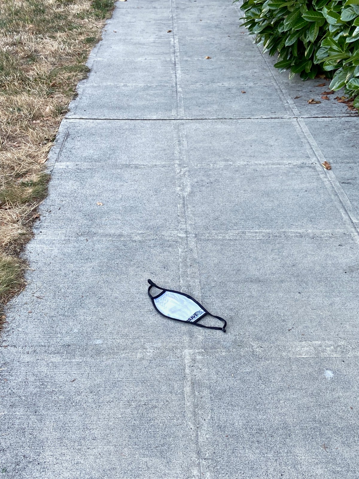 The Artist becomes a&nbsp;Human